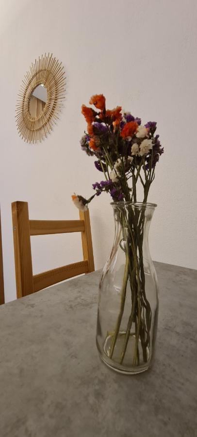 Camping Corali & Apartments Ríza 외부 사진